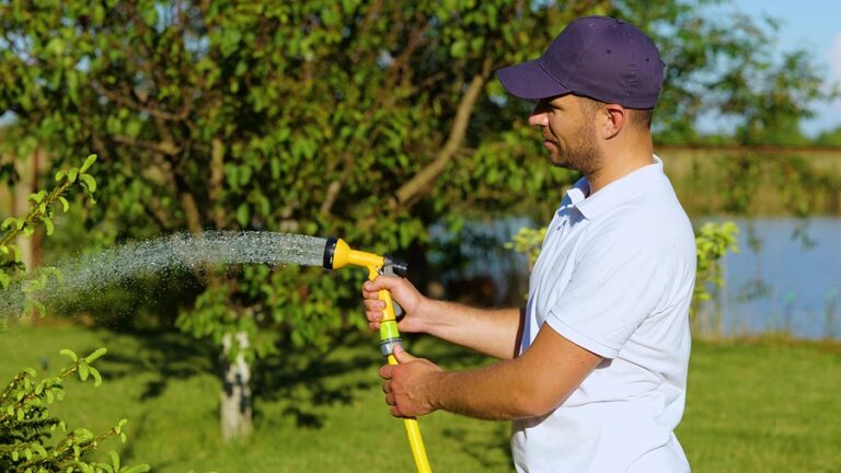 How to Prepare Your Trees for the Heat of Summer | Complete Tree Care