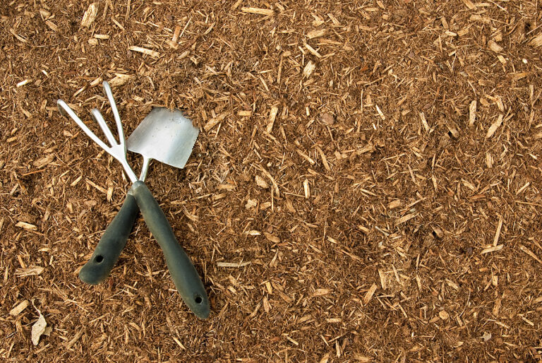 Types of Mulch Complete Tree Care