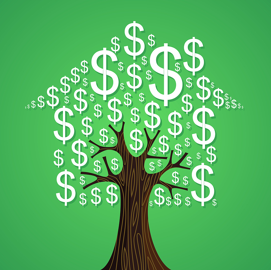 Call 317-783-2518 for Affordable Tree Service in Indianapolis