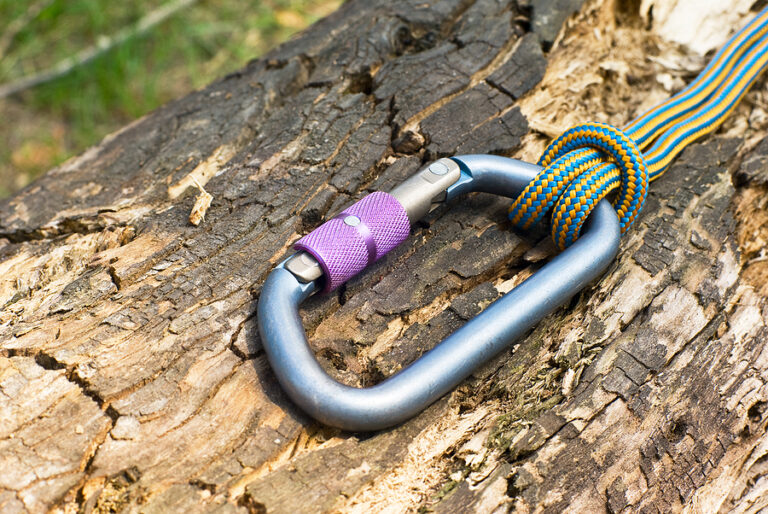 Tree Cabling and Bracing: Your Essential Guide | Complete Tree Care