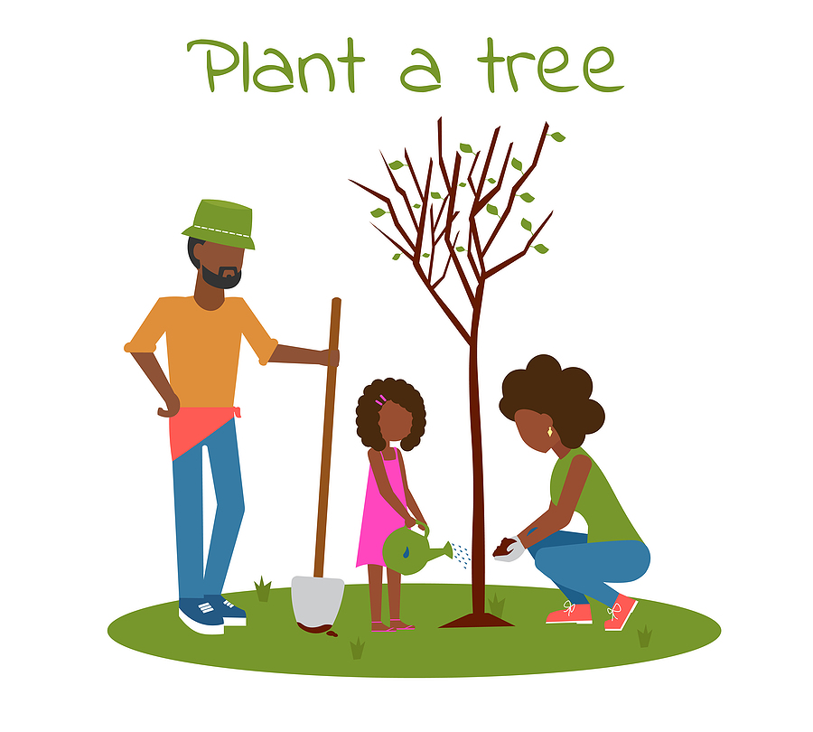 Plant a Tree in Indianapolis