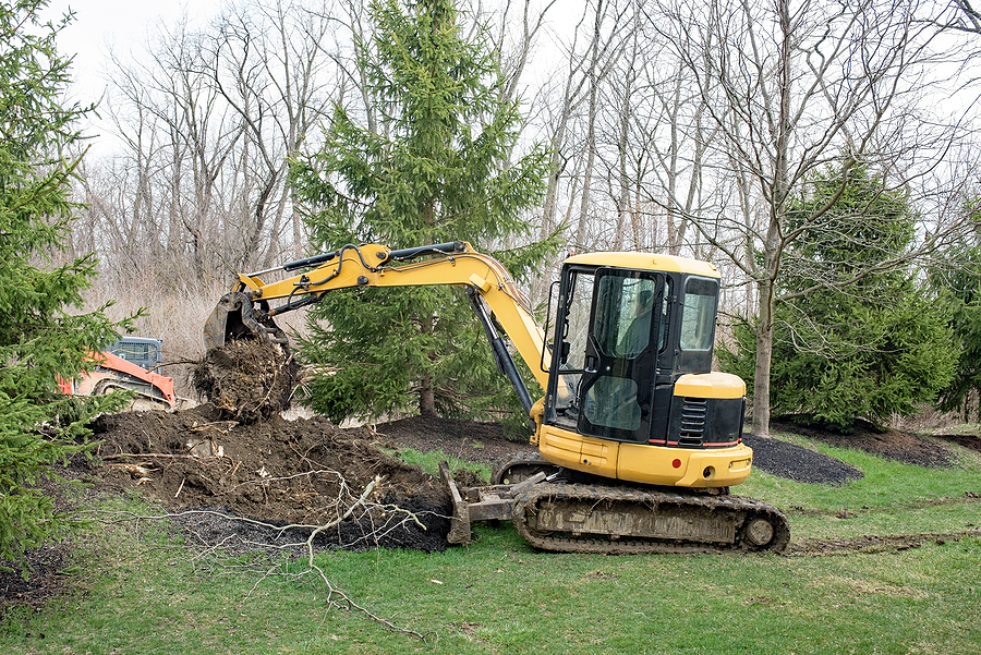 Call 317-783-2518 for Tree Trunk Removal in Indianapolis