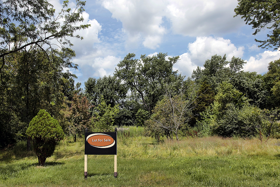 Tree Clearing Costs in Indiana