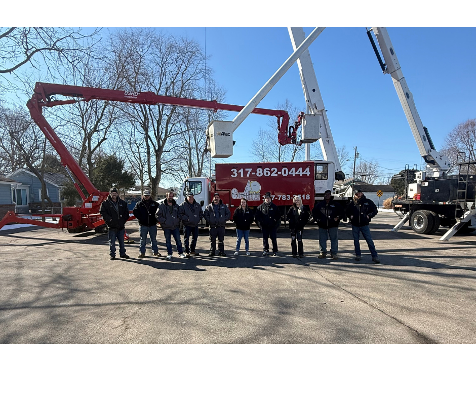 Commercial Tree Service Company in Indianapolis