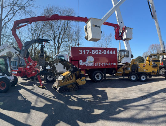 Commercial Tree Service Indianapolis