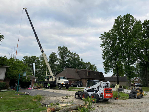 Storm Damage Tree Removal Indianapolis