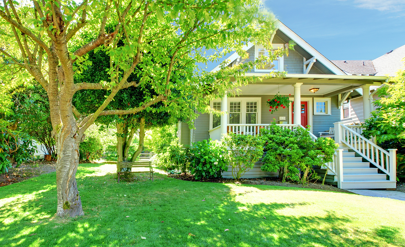 Residential Tree Service Indianapolis Residential Tree Service Indianapolis